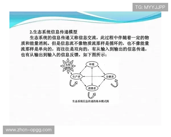 体育传播服务不再仅限于单向推送 体育内容商业化正构建起双向反馈执行回路